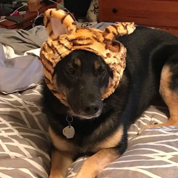 Offers‎ Welcome - Picture 4 of 10